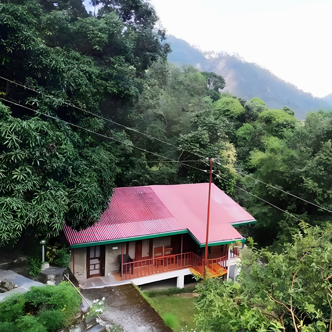 Alchauna Profile Picture