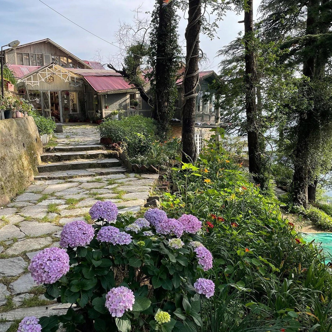 sanjiv's aira holme Profile Image